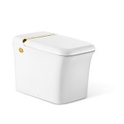 Athena Intelligent Toilet E520-0232