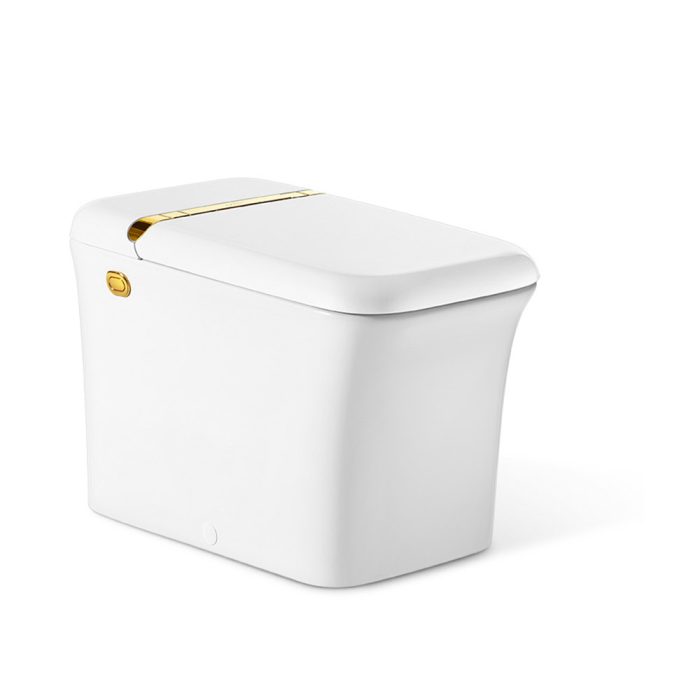 Athena Intelligent Toilet E520-0232