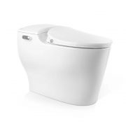 Starlett Intelligent Toilet E010-1131-M2